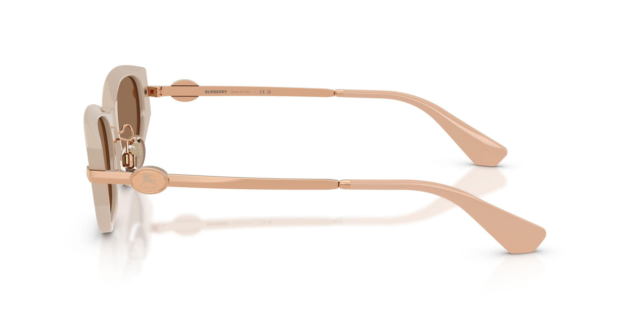 424473 - Beige - Dark Brown