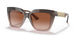 533213 - Brown - Brown Gradient