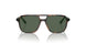 271871 - Brown - Dark Green