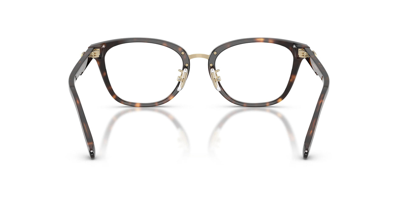5120 - Tortoise