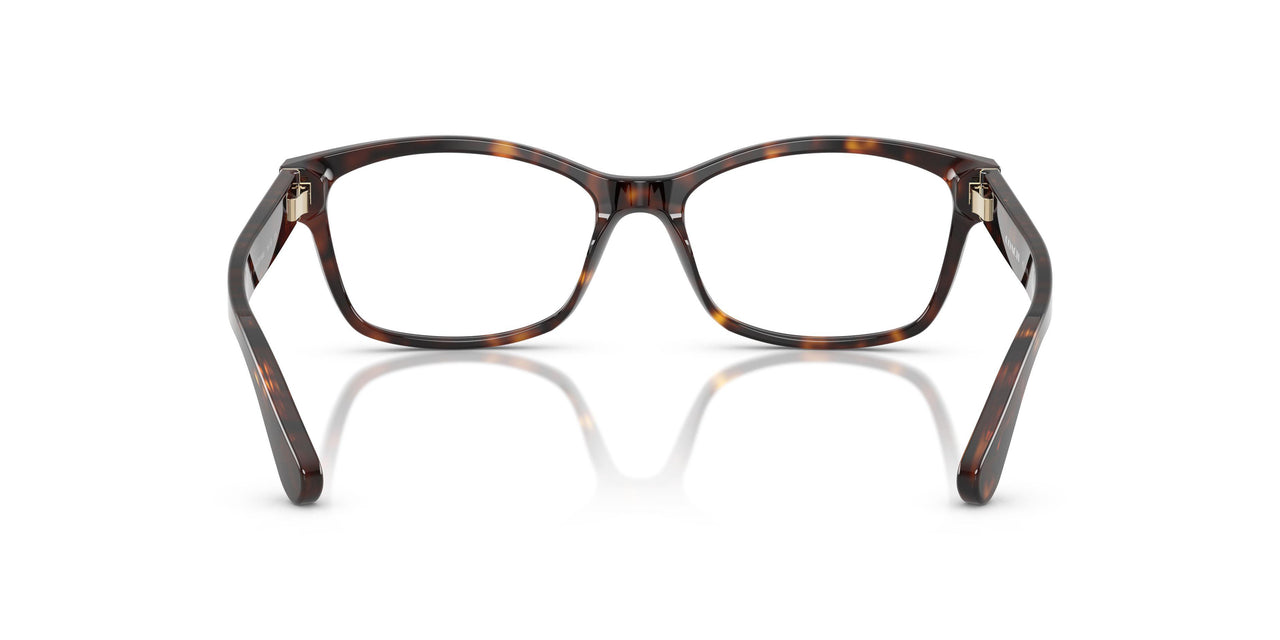 5893 - Tortoise