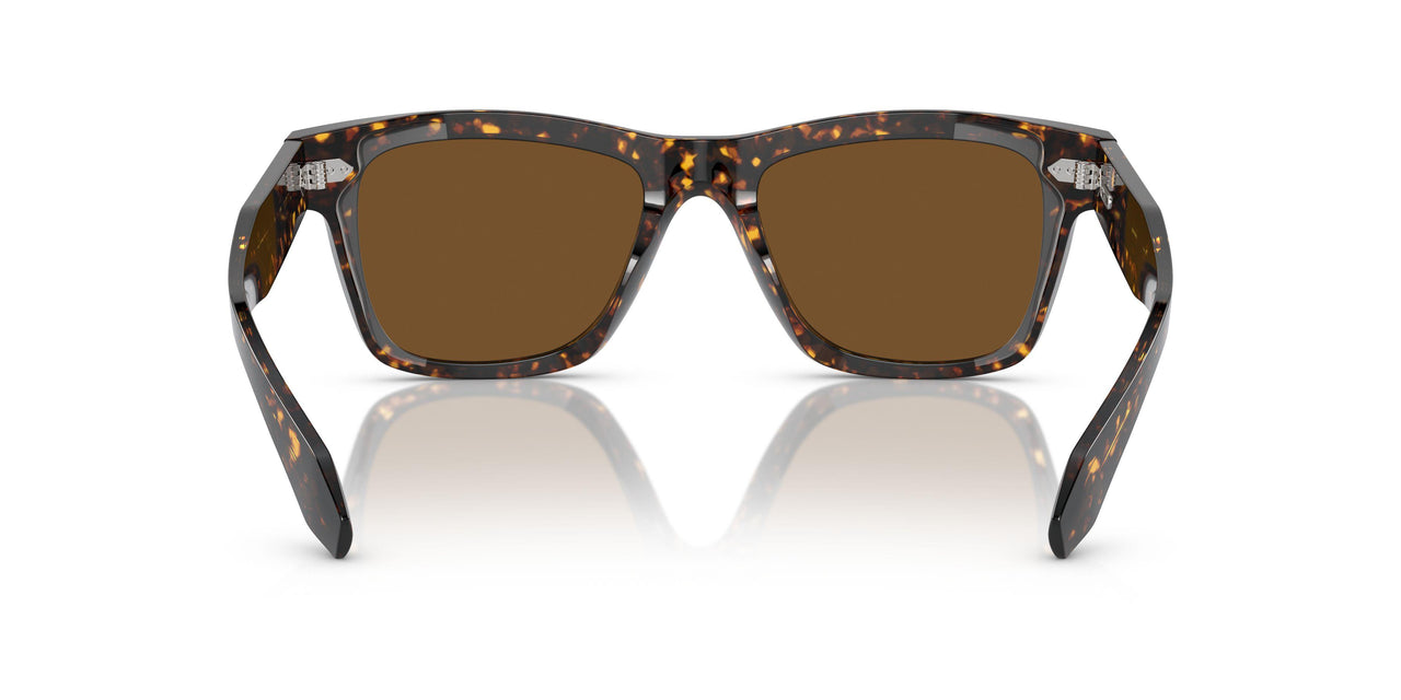 174157 - Tortoise - True Brown Polarized