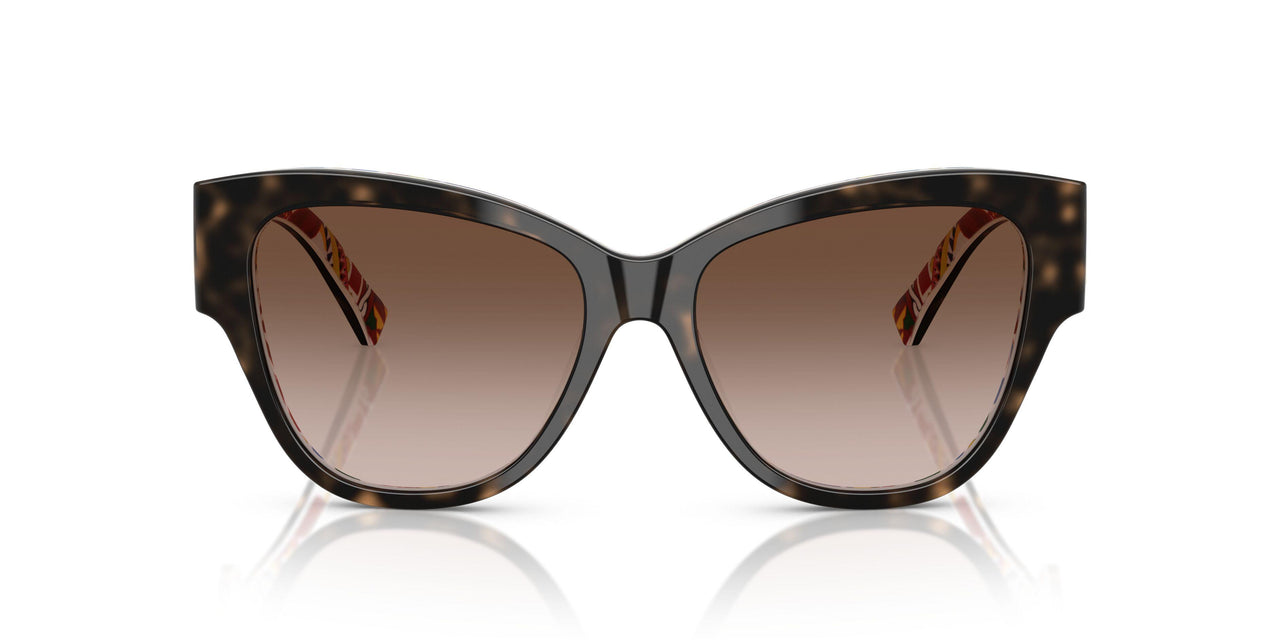 321713 - Tortoise - Brown Gradient