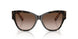 321713 - Tortoise - Brown Gradient