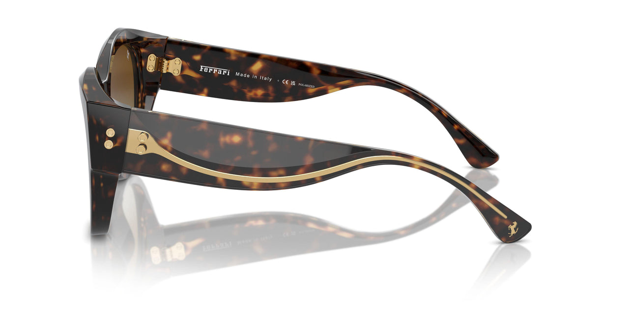 702/T5 - Tortoise - Brown Gradient Polarized