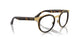 001/M1 - Tortoise - Clear/green