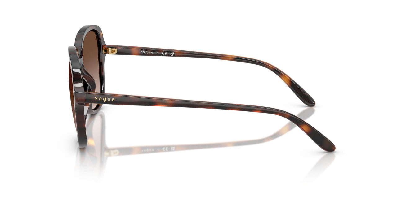 W65613 - Brown - Brown Gradient