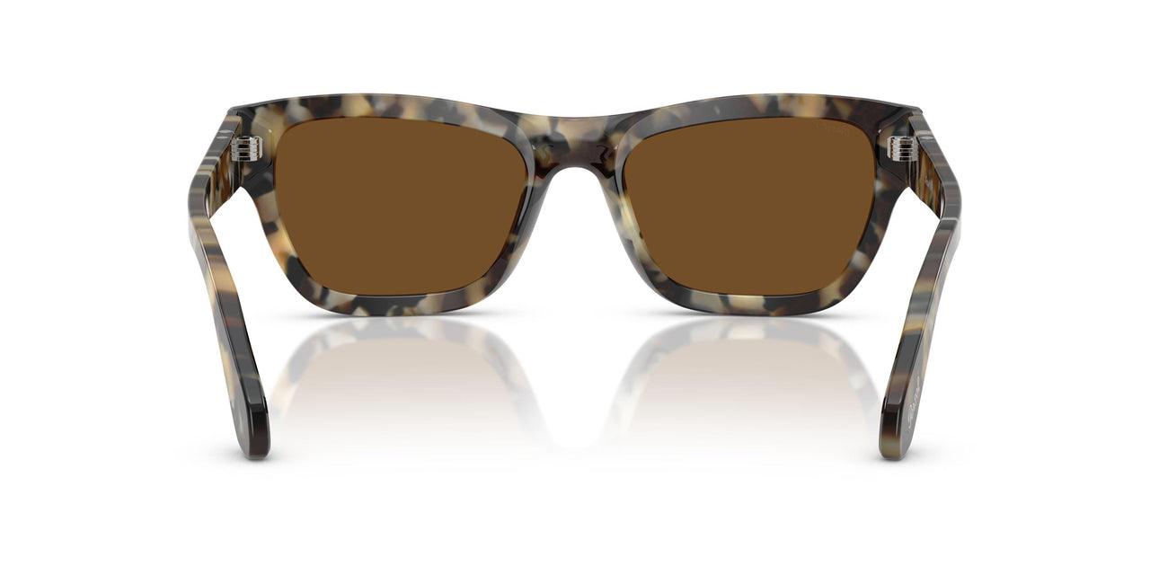 107157 - Tortoise - Brown Polar
