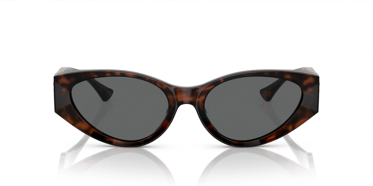 542987 - Tortoise - Dark Grey