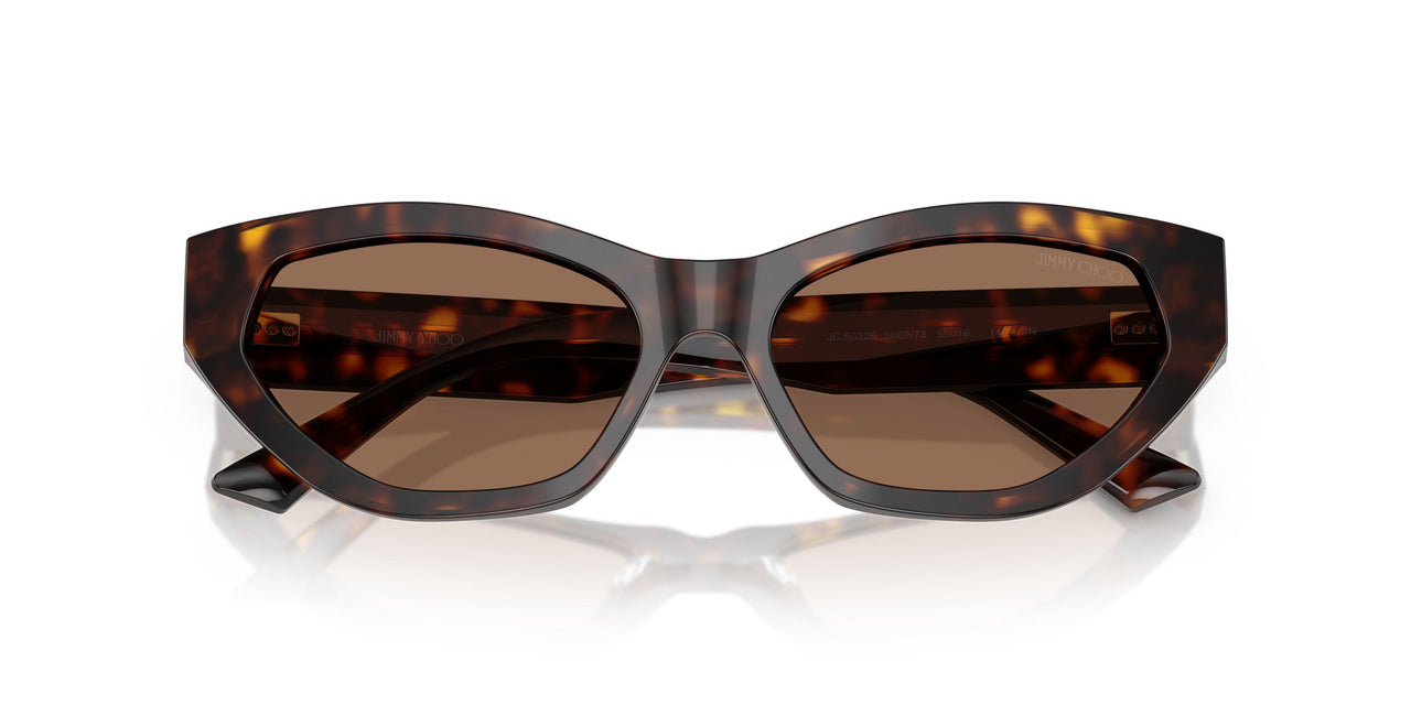 500273 - Tortoise - Dark Brown