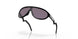 946701 - Black - Prizm Grey