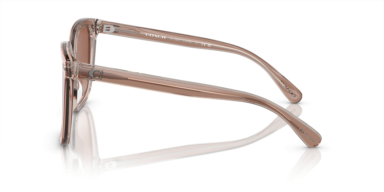 577913 - Brown - Brown Gradient