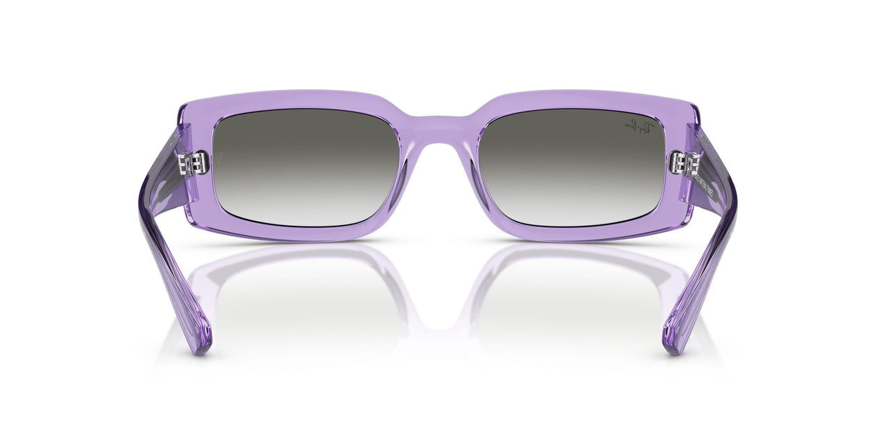66858E - Violet - Light Grey