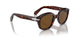 24/57 - Tortoise - Polarized Brown