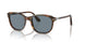 108/56 - Tortoise - Light Blue