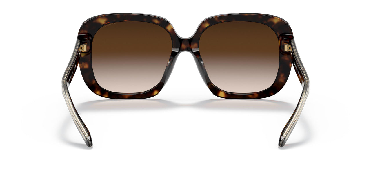 51203B - Havana - Brown Gradient