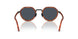 6404R5 - Brown - Blue