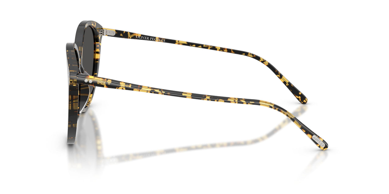 177887 - Tortoise - Grey
