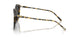 177887 - Tortoise - Grey