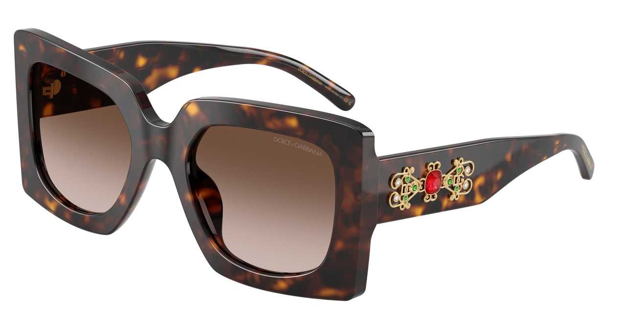 502/13 - Tortoise - Gradient Brown