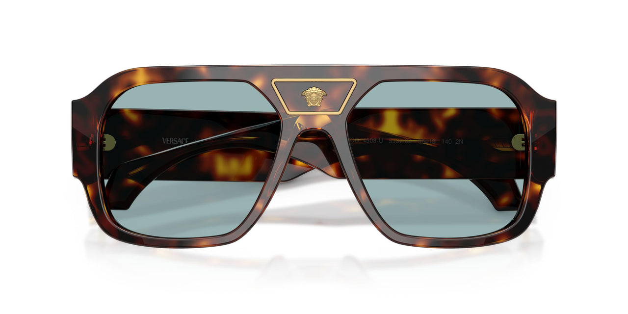 553780 - Tortoise - Blue