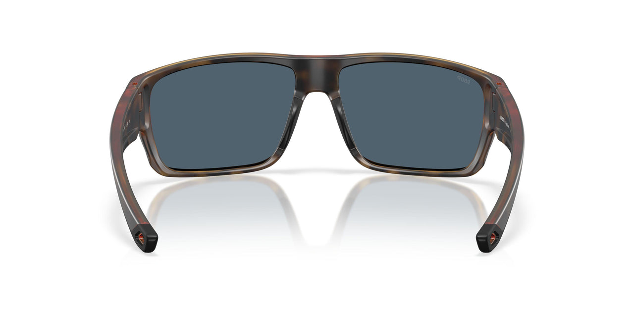 912911 - Tortoise - Gray