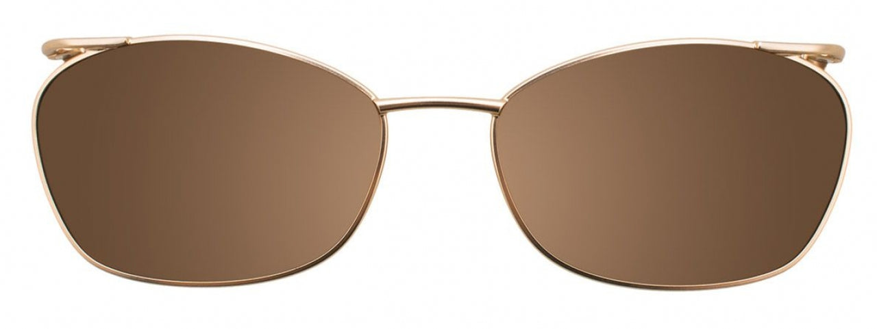 10 - Dark Brown & Satin Gold