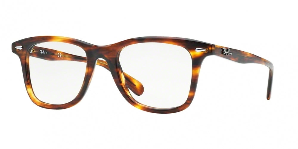 Ray-Ban 5317 Eyeglasses