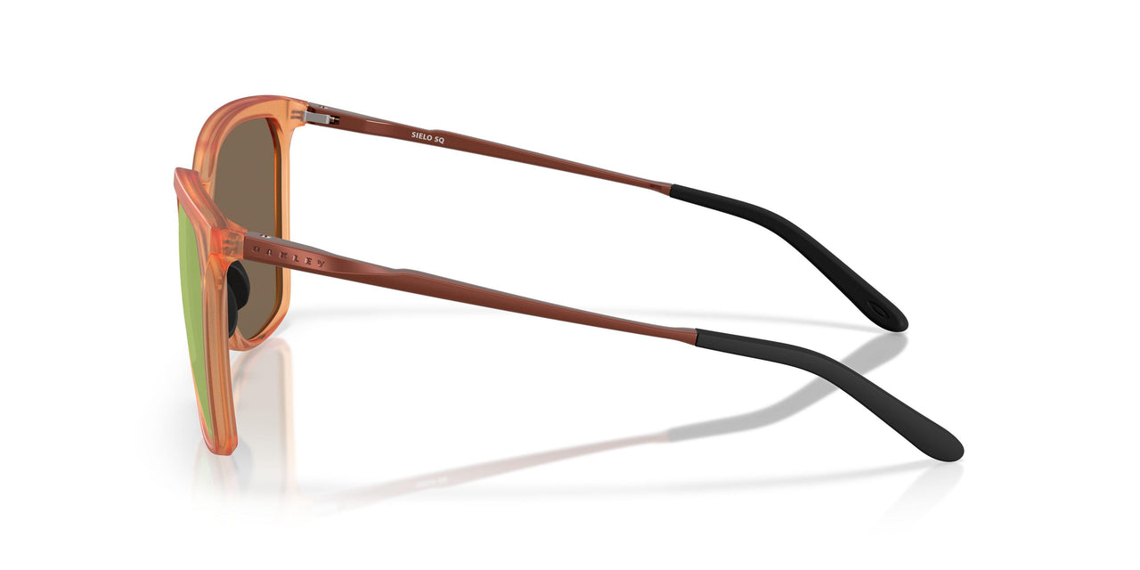 948004 - Brown - Prizm Rose Gold Polarized