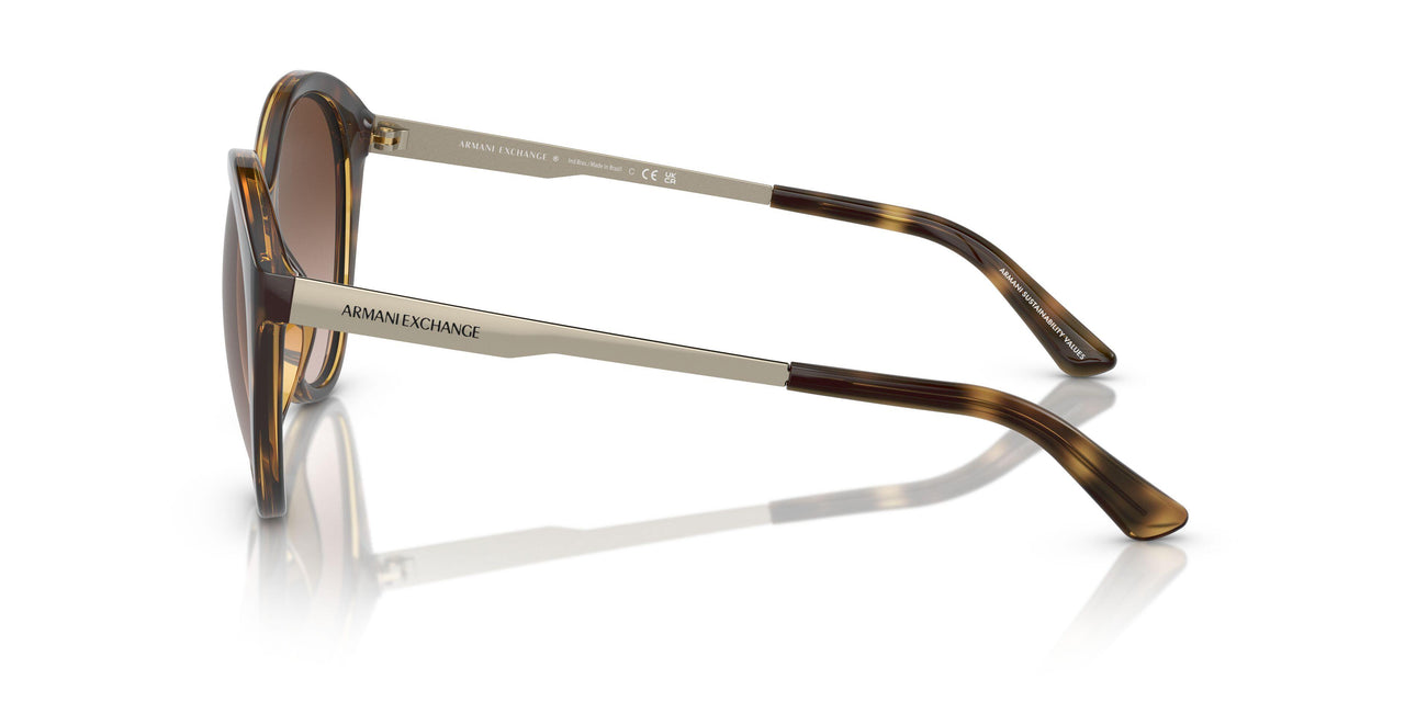 821313 - Tortoise - Gradient Brown