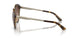 821313 - Tortoise - Gradient Brown