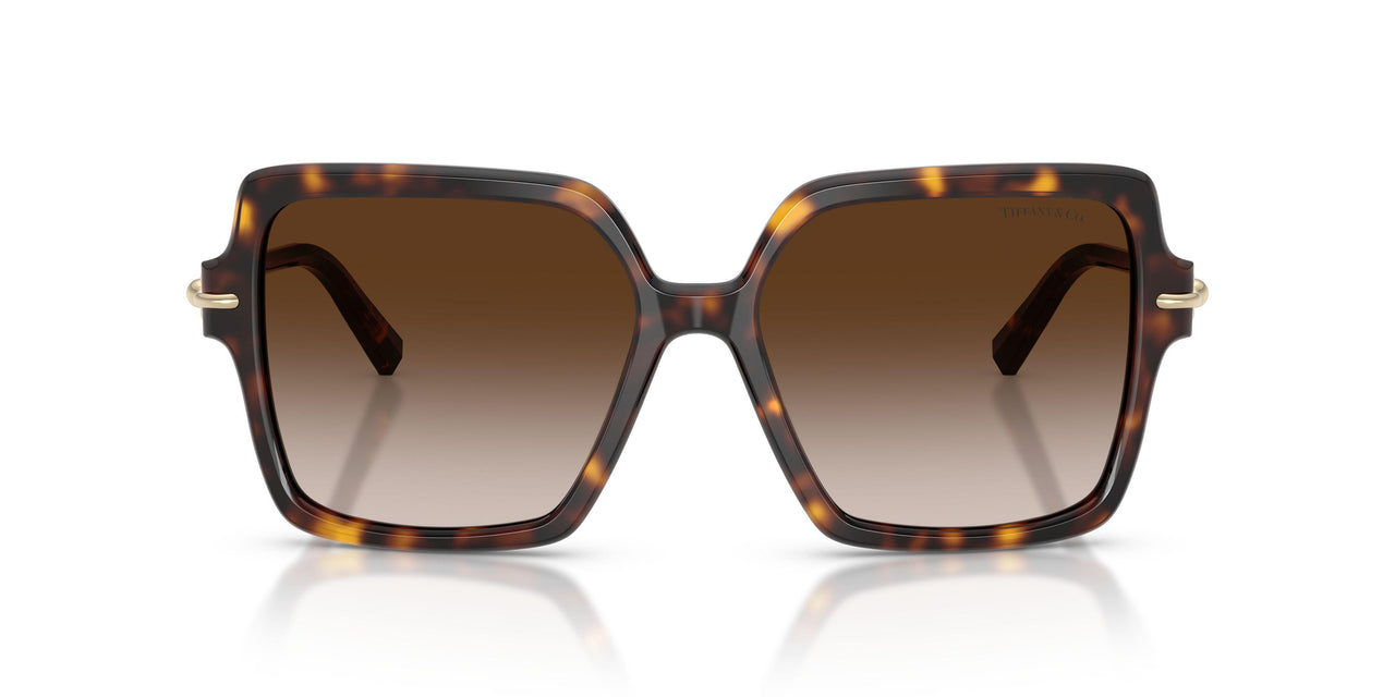 80153B - Tortoise - Brown Gradient