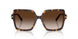 80153B - Tortoise - Brown Gradient