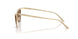 300673 - Gold - Dark Brown