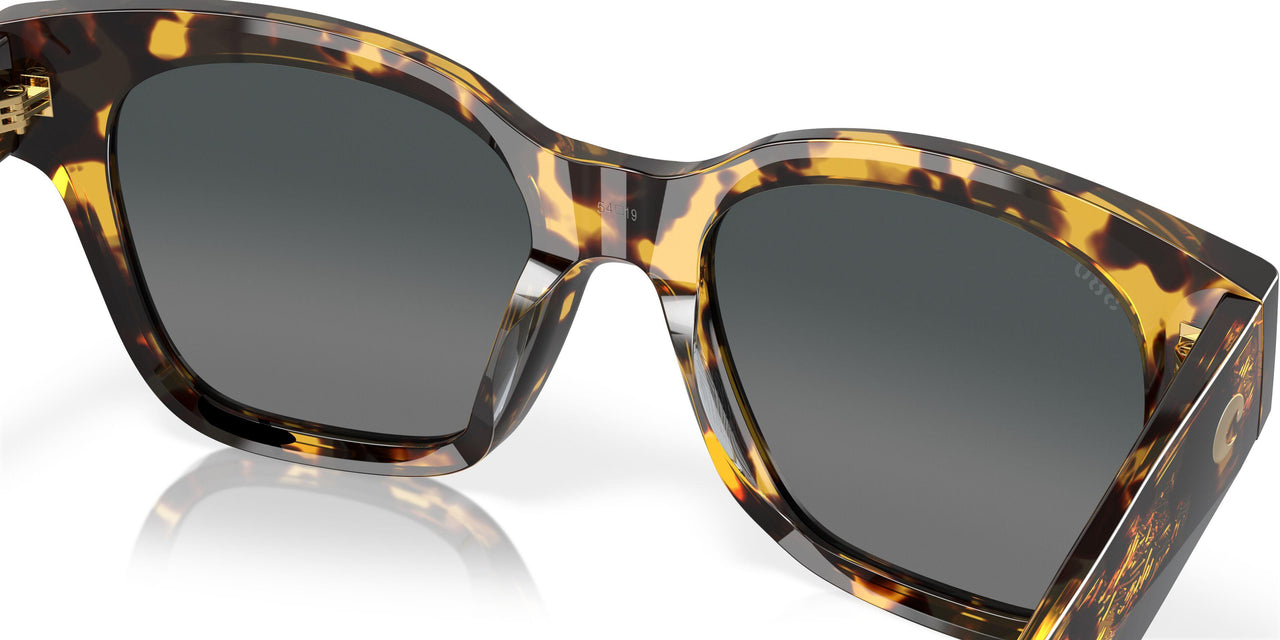 201602 - Tortoise - Gray Gradient