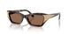 100273 - Brown - Dark Brown