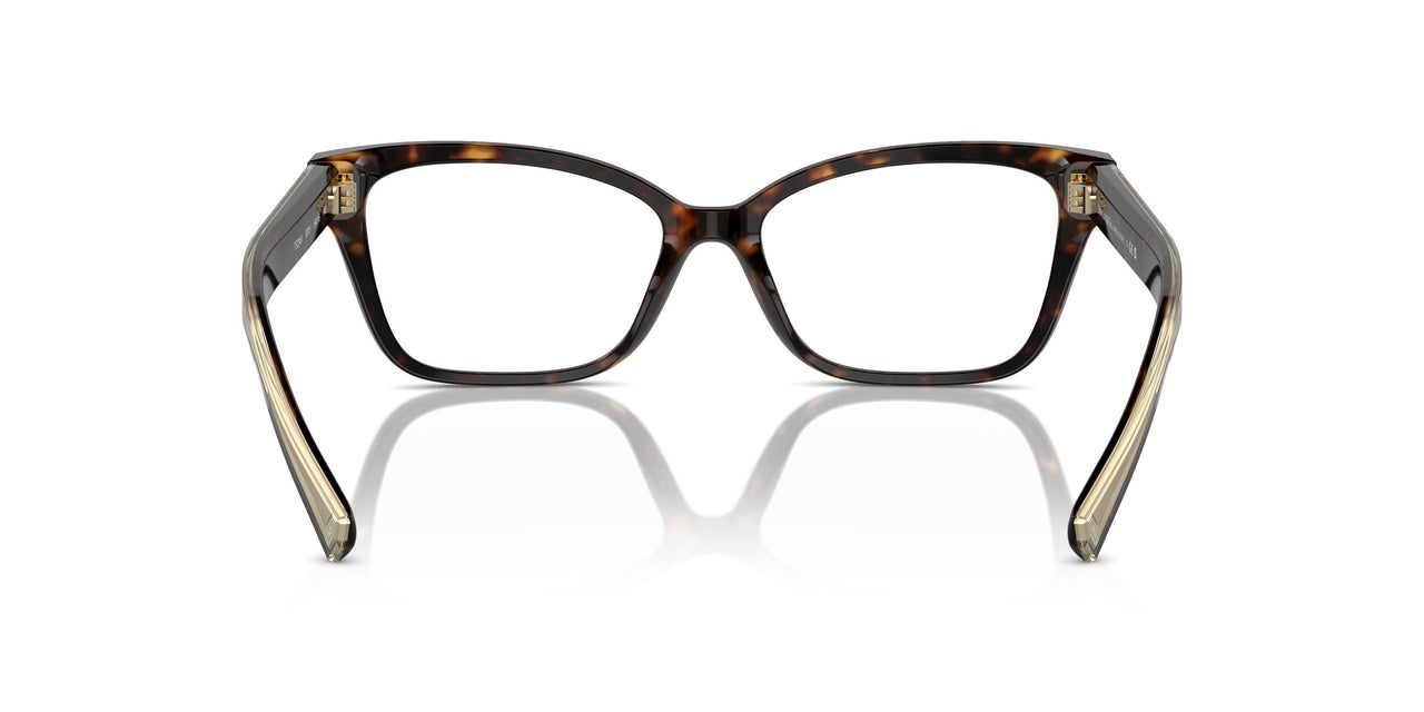 8015 - Tortoise