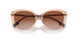 408813 - Pink - Brown Gradient
