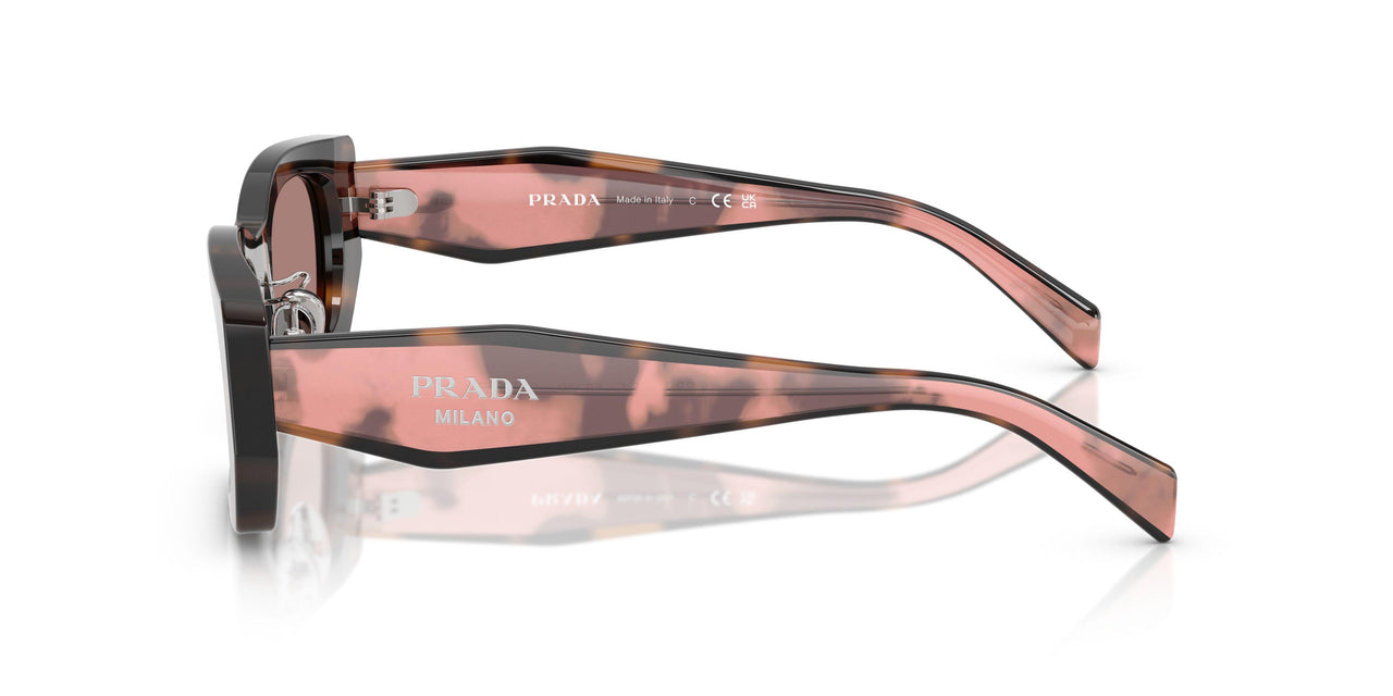 23A60B - Tortoise - Light Brown