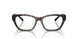 5026 - Tortoise