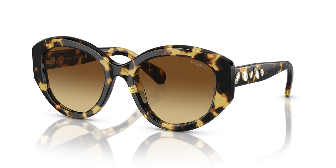 100913 - Tortoise - Brown Gradient