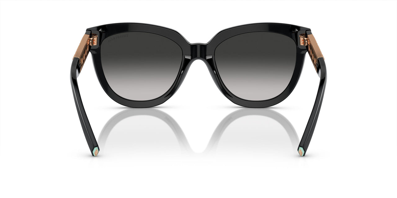 80013C - Black - Grey Gradient