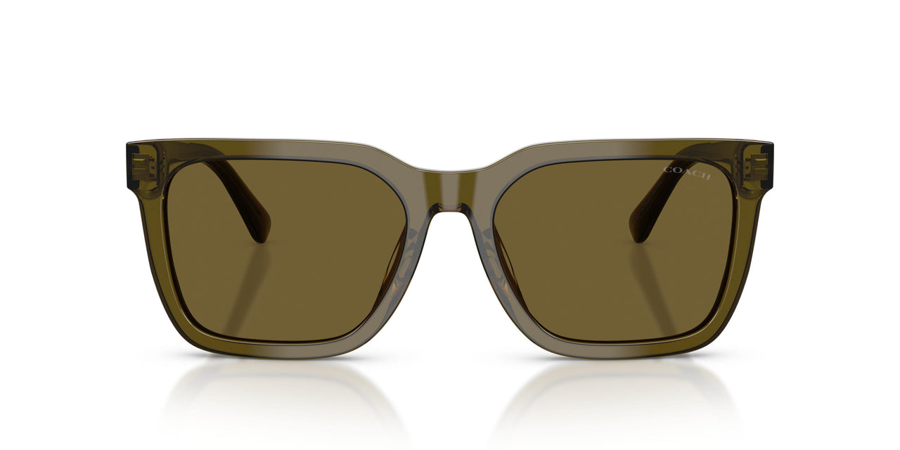 591073 - Green - Olive Solid