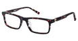 03 - Red-navy Tort