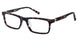 2BB BBBEAU Eyeglasses