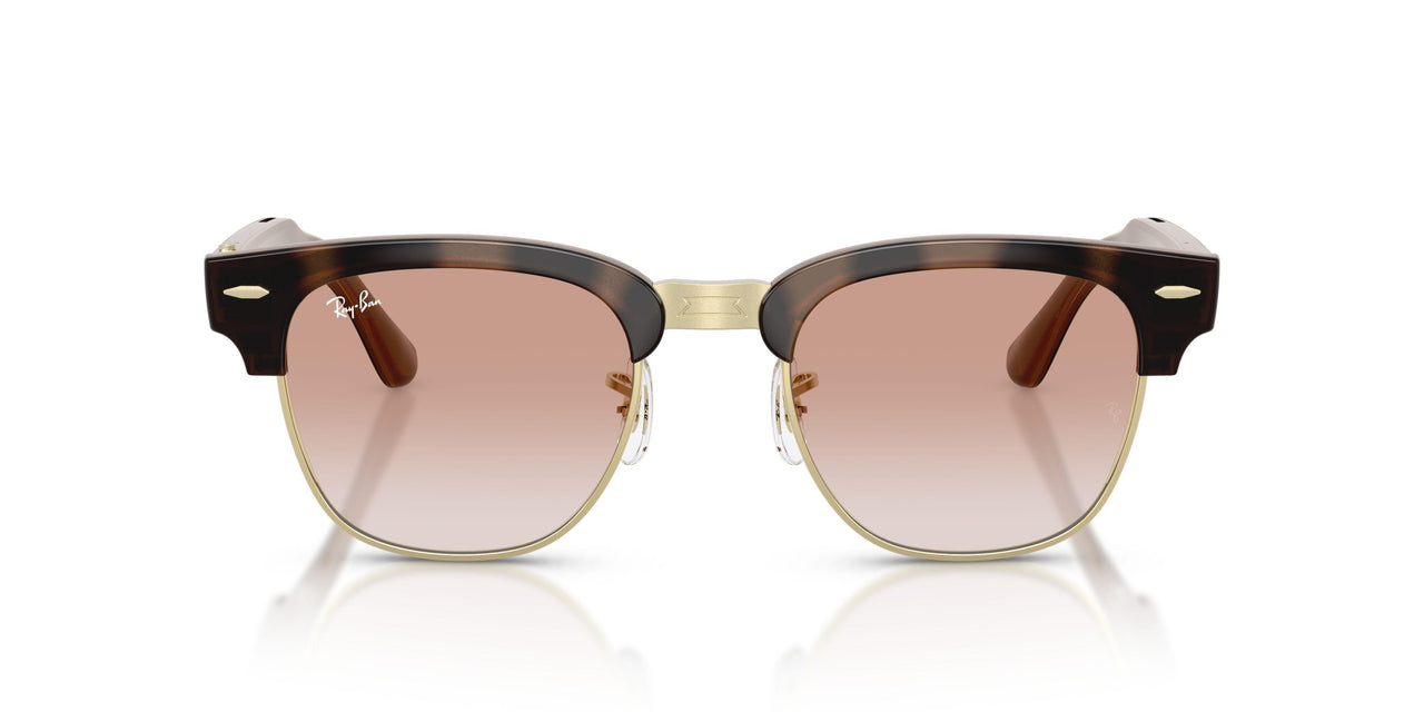 692813 - Tortoise - Gradient Brown