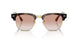 692813 - Tortoise - Gradient Brown