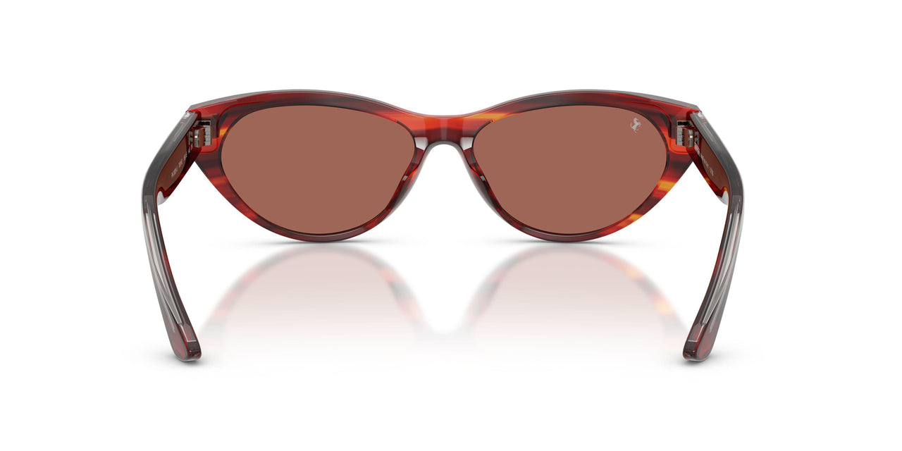 753/H2 - Tortoise - Brown
