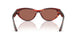 753/H2 - Tortoise - Brown