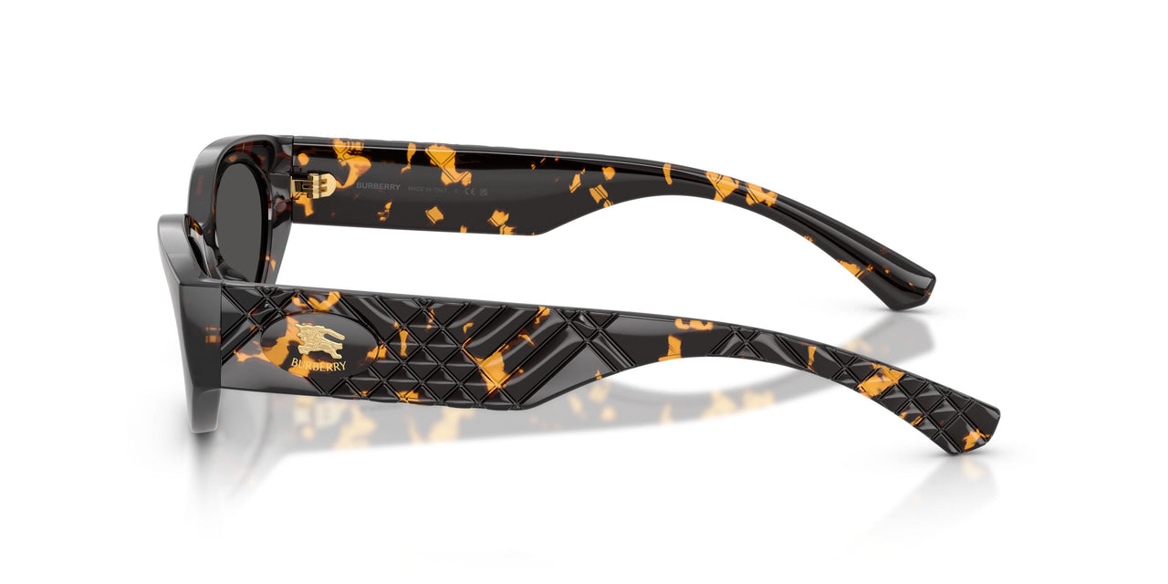 410687 - Tortoise - Dark Grey